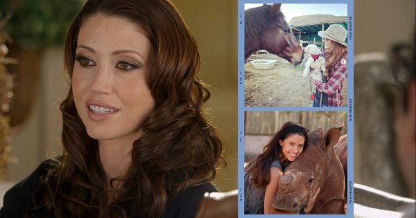Shannon Elizabeth: What Happened To Her?