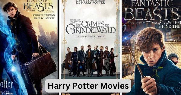 A Journey Through The Harry Potter Movies In Order