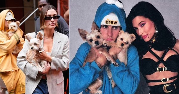 Hailey Bieber Discusses Her Leisure Activities Alongside Her Canine Companions And Spouse, Justin