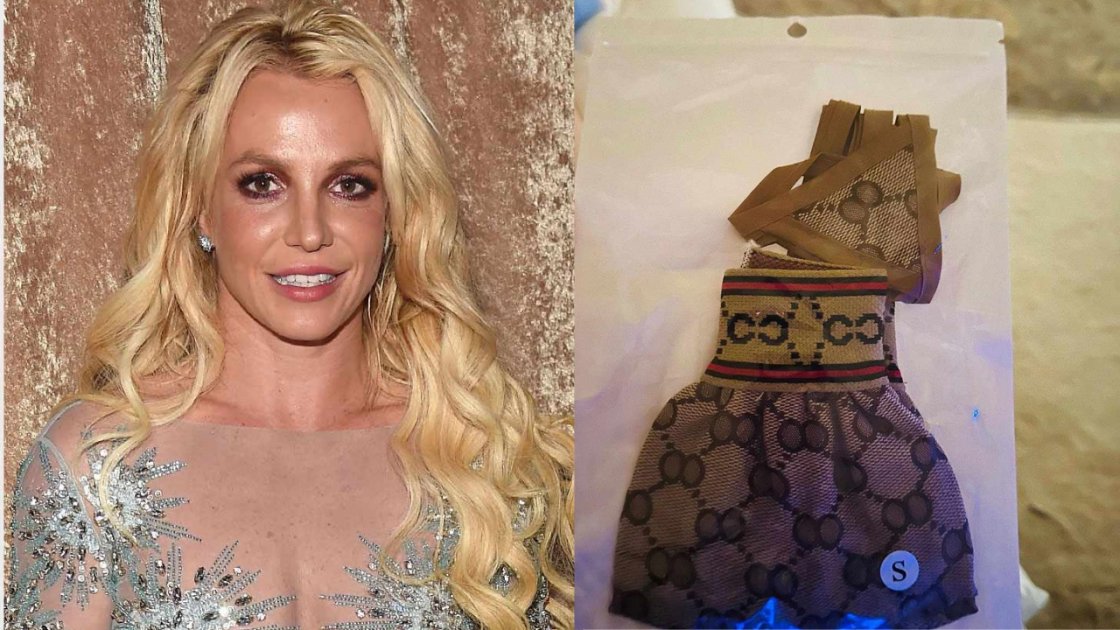 Britney Spears Has Recently Acquired An Endearing Two-Piece Bikini For Her Beloved Canine Companion, Snow