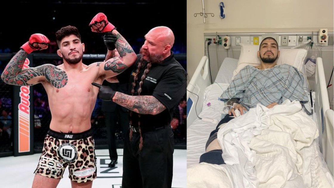 Dillon Danis: The Unstoppable Rise In MMA - A Journey Beyond The Cage!
