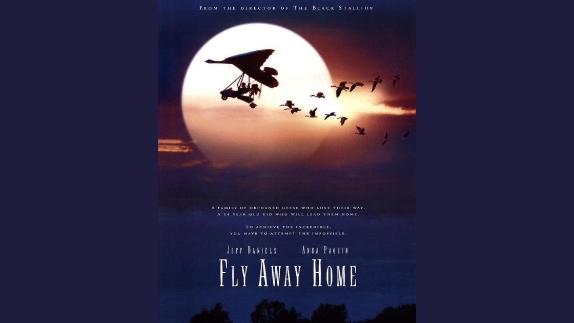 Fly Away Home (1996) - Best Movie For 9 - 12 Years Old Boys, Girls