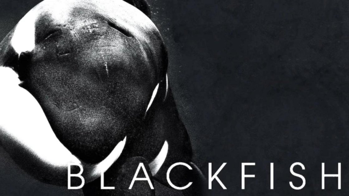 Blackfish (2013) - best movies on hulu