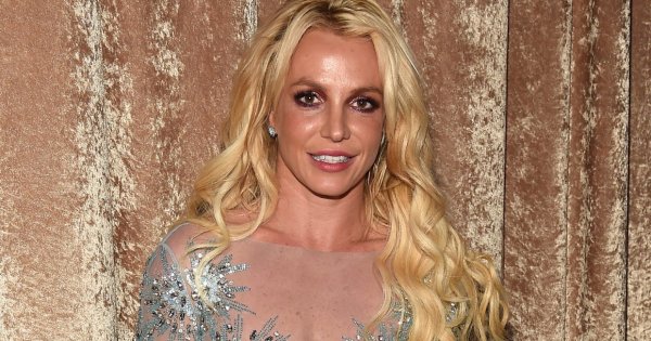 Britney Spears Has Recently Acquired An Endearing Two-Piece Bikini For Her Beloved Canine Companion, Snow
