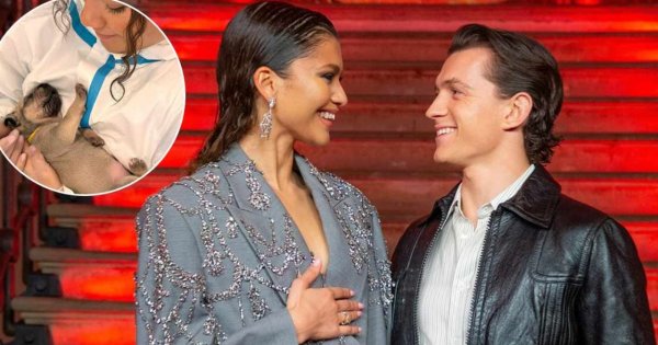 Tom Holland Has Recently Shared A Heartwarming Photograph Featuring Zendaya With Adorable Puppies