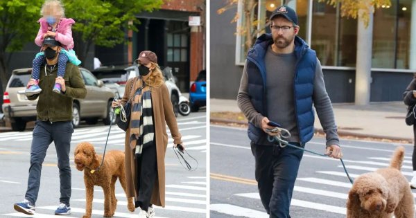 Ryan Reynolds’ Family Pets Are The Cutest You'll Ever See